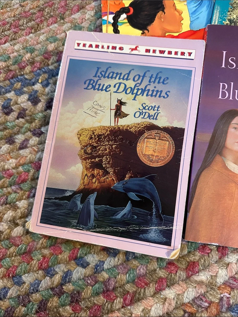 Island of the Blue Dolphins Homeschool Novel Study 5 Book Bundle 3 Novels Guides